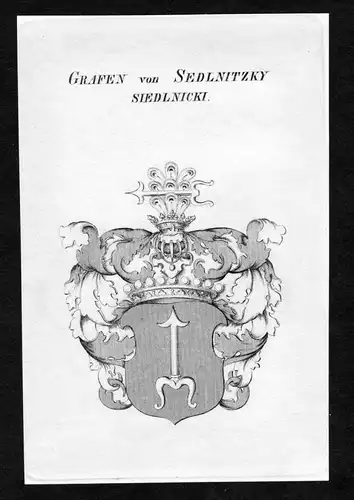 Grafen von Sedlnitzky Siedlnicki - Sedlnitzky Siedlnicky Wappen Adel coat of arms Kupferstich  heraldry Herald