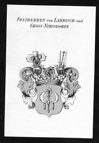 Freiherren von Larrisch und Gross-Nimmsdorff - Larisch Groß-Nimsdorff Wappen Adel coat of arms Kupferstich  h