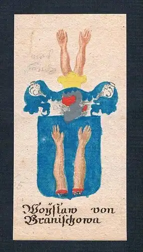 Moyslaw von Branischowa - Wojslaw Branischowa Manuskript Wappen Adel coat of arms heraldry Heraldik