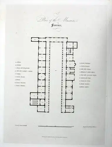 Plan of the Museum Florence - Galleria degli Uffizi Firenze disegno stampa  acquaforte