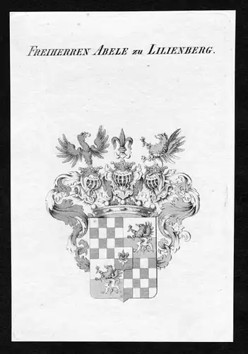 Freiherren Abele zu Lilienberg - Abele von und zu Lilienberg Wappen Adel coat of arms Kupferstich  heraldry He