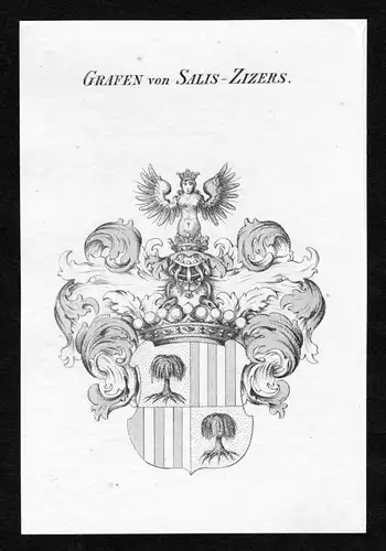 Grafen von Salis-Zizers - Salis-Zizers Wappen Adel coat of arms Kupferstich  heraldry Heraldik