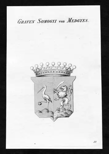 Grafen Somogyi von Medgyes - Somogyi von Medgyes Wappen Adel coat of arms Kupferstich  heraldry Heraldik