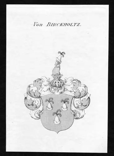 Von Birckholtz - Birckholz Birckholtz Wappen Adel coat of arms Kupferstich  heraldry Heraldik