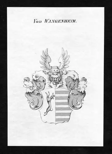 Von Wangenheim - Wangenheim Wappen Adel coat of arms Kupferstich  heraldry Heraldik
