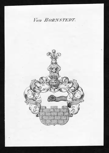 Von Bornstedt - Bornstedt Wappen Adel coat of arms Kupferstich  heraldry Heraldik