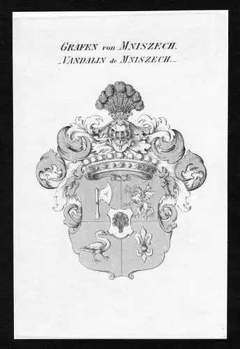 Grafen von Mniszech - Vandalin de Mniszech - - Mniszech Vandalin de Mniszech Wappen Adel coat of arms Kupferst