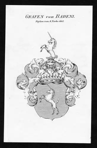 Grafen von Badeni - Badeni Wappen Adel coat of arms Kupferstich  heraldry Heraldik