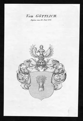 Von Göttlich - Göttlich Goettlich Wappen Adel coat of arms Kupferstich  heraldry Heraldik