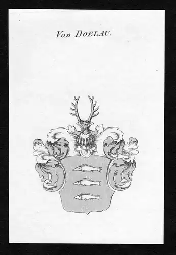 Von Doelau - Dölau Doelau Wappen Adel coat of arms Kupferstich  heraldry Heraldik