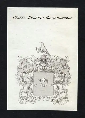 Grafen Bolesta-Koziebrodzki - Bolesta-Koziebrodzki Wappen Adel coat of arms Kupferstich  heraldry Heraldik