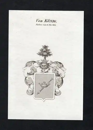 Von König - König Koenig Wappen Adel coat of arms Kupferstich  heraldry Heraldik