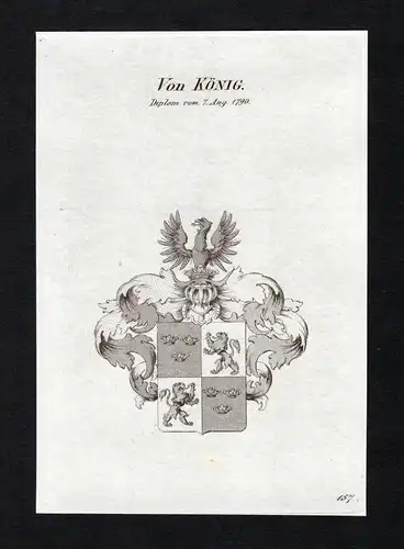 Von König - König Koenig Wappen Adel coat of arms Kupferstich  heraldry Heraldik