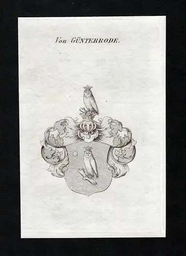 Von Günterrode - Günderrode Guenderrode Wappen Adel coat of arms Kupferstich  heraldry Heraldik