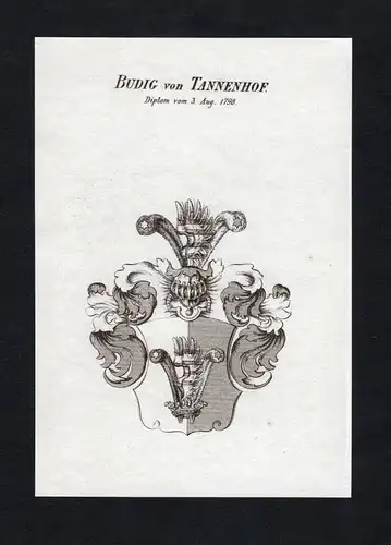 Budig von Tannenhof - Tannenhof Wappen Adel coat of arms heraldry Heraldik