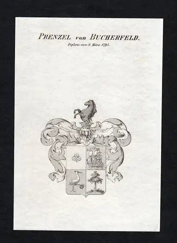 Prenzel von Bucherfeld - Prenzel von Bucherfeld Wappen Adel coat of arms Kupferstich  heraldry Heraldik