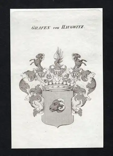 Grafen von Haugwitz - Haugwitz Wappen Adel coat of arms Kupferstich  heraldry Heraldik