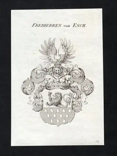 Freiherren von Esch - Esch Wappen Adel coat of arms Kupferstich  heraldry Heraldik