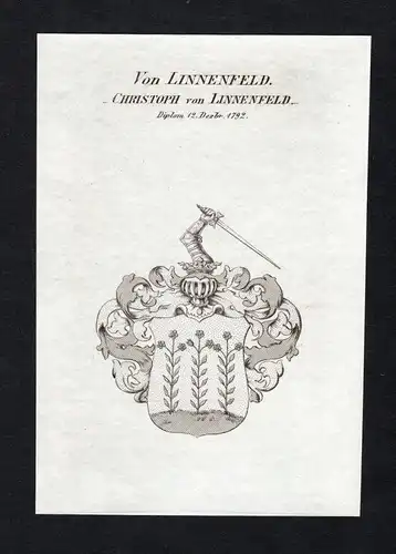 Von Linnenfeld - Christoph von Linnenfeld - - Linnenfeld Wappen Adel coat of arms Kupferstich  heraldry Herald