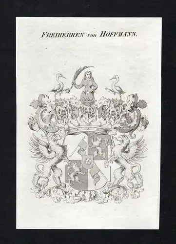 Freiherren von Hoffmann - Hoffmann Wappen Adel coat of arms Kupferstich  heraldry Heraldik
