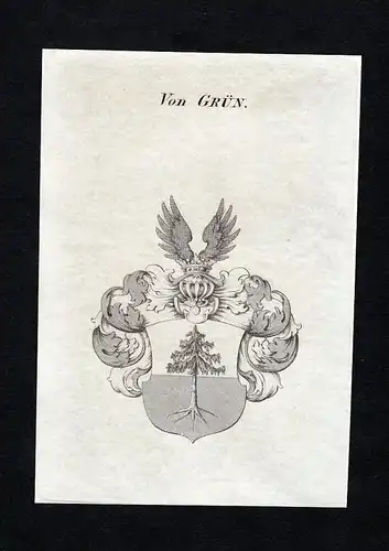 Von Grün - Grün Wappen Adel coat of arms heraldry Heraldik