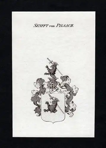 Senfft von Pilsach - Pilsach Wappen Adel coat of arms heraldry Heraldik
