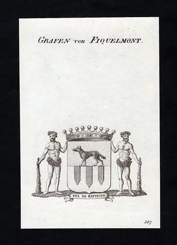 Grafen von Fiquelmont - Fiquelmont Wappen Adel coat of arms heraldry Heraldik