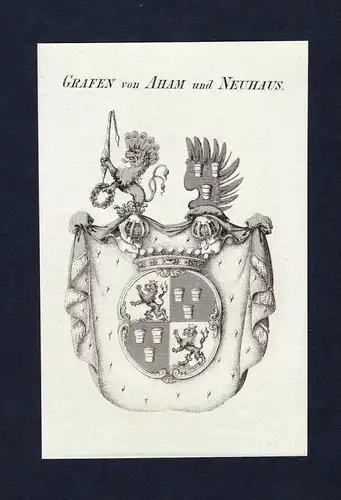 "Grafen von Aham und Neuhaus" - Aham Neuhaus Wappen Adel coat of arms heraldry Heraldik Kupferstich engraving