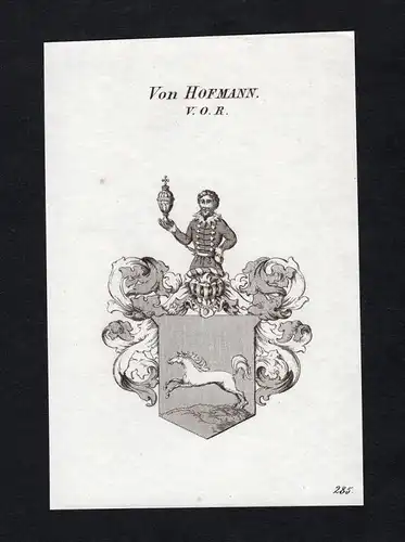Von Hofmann - Hofmann Wappen Adel coat of arms heraldry Heraldik