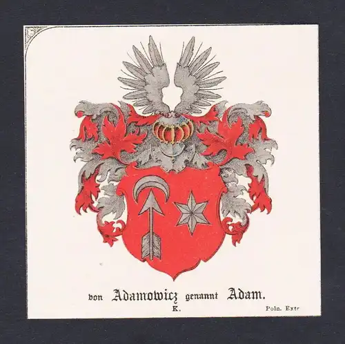 . Adamowicz Adam Wappen Heraldik coat of arms heraldry Litho
