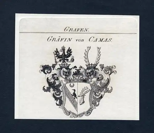 Gräfin von Camas - Camas Wappen Adel coat of arms Kupferstich  heraldry Heraldik