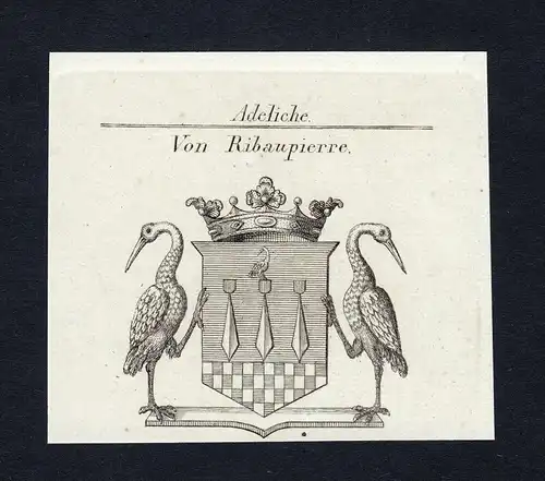 Von Ribaupierre - Ribaupierre Wappen Adel coat of arms heraldry Heraldik