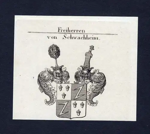 Freiherren von Schwachheim - Schwachheim Wappen Adel coat of arms heraldry Heraldik