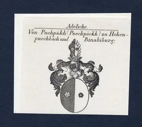 Von Puchpäkh zu Hohenpuechbach und Binabiburg - Puchpäkh Binabiburg Wappen Adel coat of arms heraldry Herald