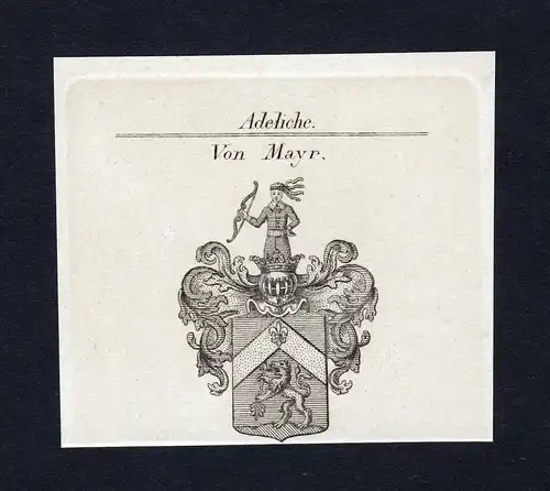 Von Mayr - Mayr Wappen Adel coat of arms heraldry Heraldik