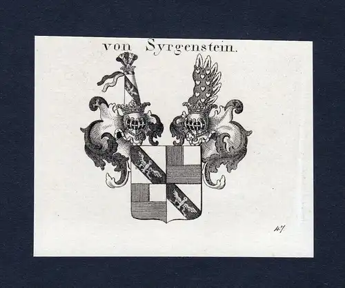 Von Syrgenstein - Syrgenstein Wappen Adel coat of arms heraldry Heraldik