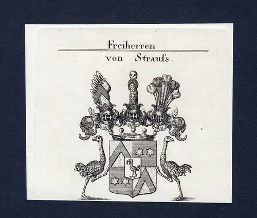 Von Strauss - Strauss Wappen Adel coat of arms Kupferstich  heraldry Heraldik