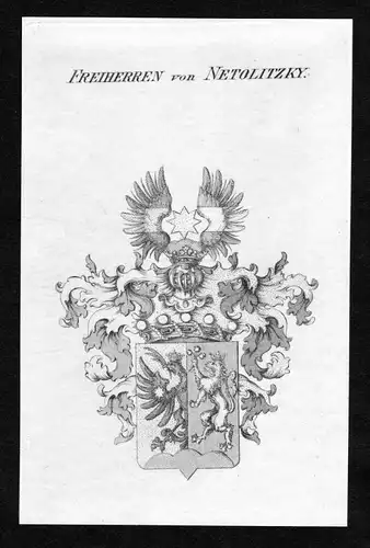 Freiherren von Netolitzky - Netolitzky Wappen Adel coat of arms Kupferstich  heraldry Heraldik