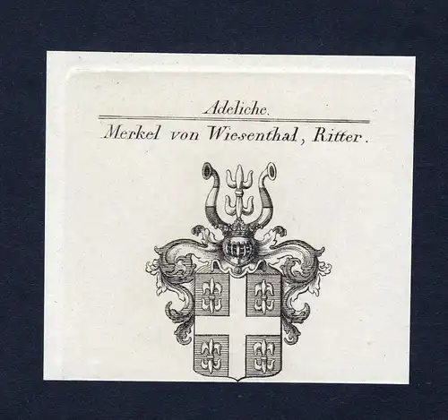 Merkel von Wiesenthal, Ritter - Merkel Wiesenthal Wappen Adel coat of arms Kupferstich  heraldry Heraldik