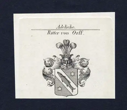 Ritter von Orff - Orff Wappen Adel coat of arms Kupferstich  heraldry Heraldik