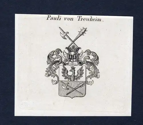 Pauli von Treuheim - Pauli von Treuheim Wappen Adel coat of arms Kupferstich  heraldry Heraldik