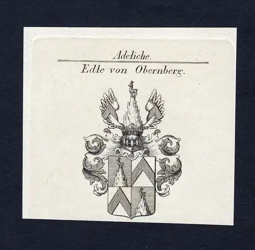 Edle von Obernberg - Obernberg Wappen Adel coat of arms Kupferstich  heraldry Heraldik