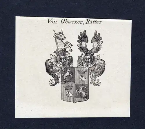 Von Obwexer, Ritter - Obwexer Wappen Adel coat of arms Kupferstich  heraldry Heraldik