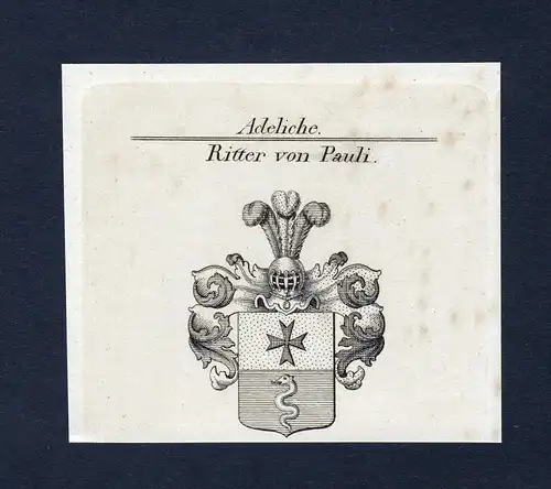 Ritter von Pauli - Pauli Wappen Adel coat of arms Kupferstich  heraldry Heraldik