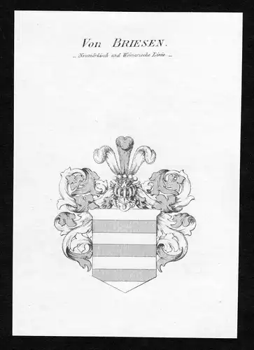Von Briesen - Neumärkisch und Weimarische Linie - - Briesen Wappen Adel coat of arms Kupferstich  heraldry He
