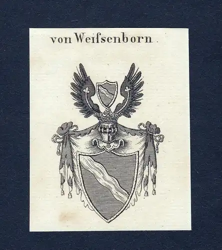 Von Weifsenborn - Weifsenborn Wappen Adel coat of arms heraldry Heraldik