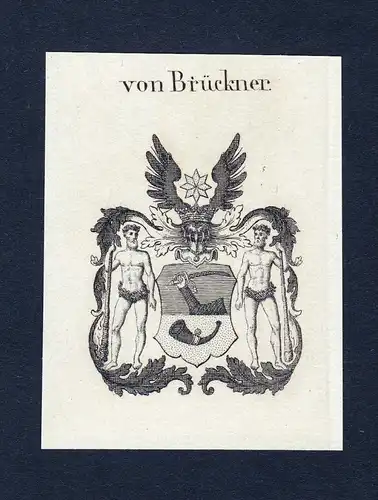 Von Brückner - Brückner Wappen Adel coat of arms heraldry Heraldik