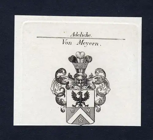 Von Meyern - Meyern Meyern auf Hohenberg Meyern-Hohenberg Wappen Adel coat of arms Kupferstich  heraldry Heral