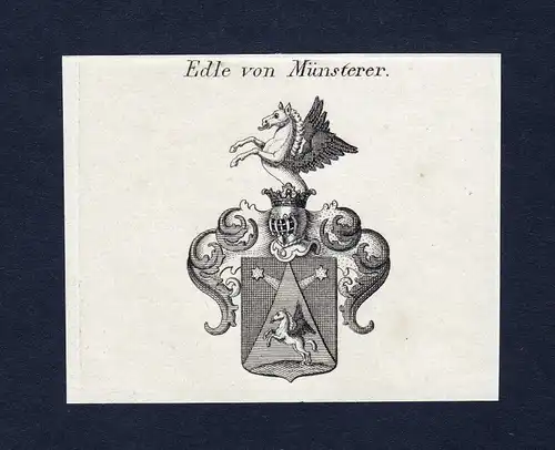 Edle von Münsterer - Münsterer Muensterer Wappen Adel coat of arms Kupferstich  heraldry Heraldik