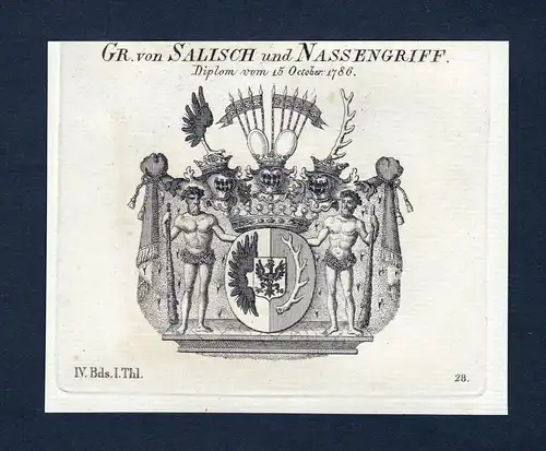 Gr. von Salisch und Nassengriff - Salisch Nassengriff Wappen Adel coat of arms Kupferstich  heraldry Heraldik